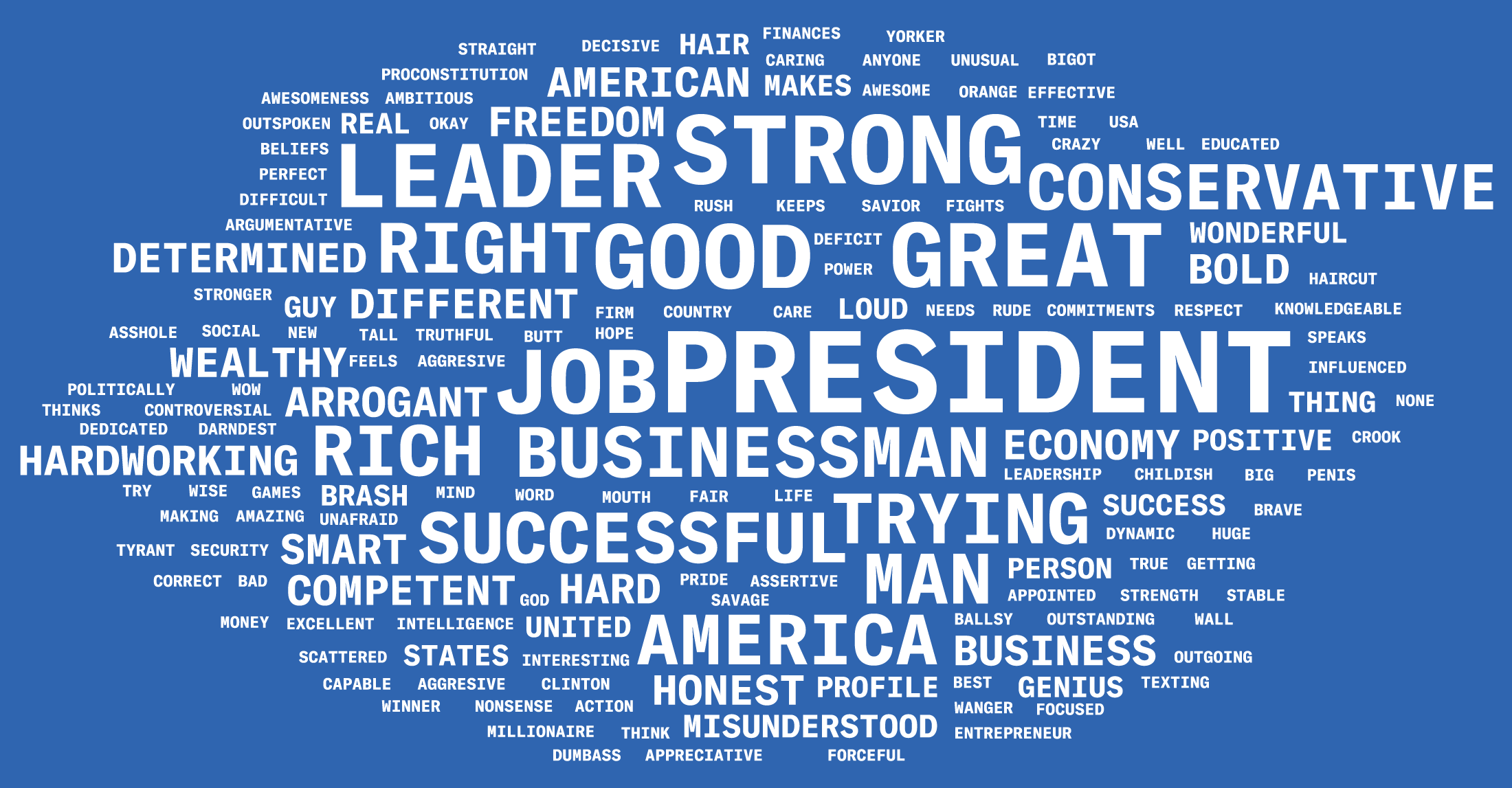 The largest words on this word cloud include president, businessman, economy, man, smart, successful, trying, strong, conservative, leader, right, good, and great.